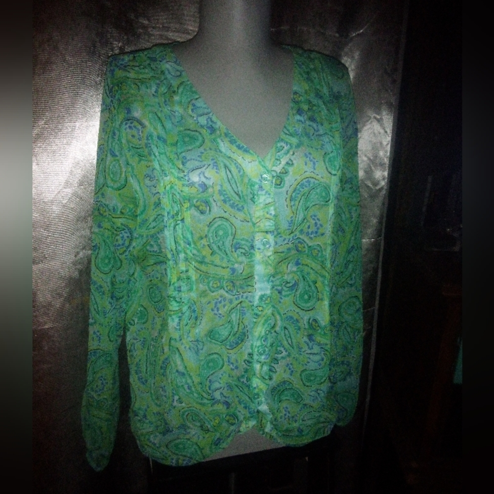 Kim Rogers V Neck Button Down Size L